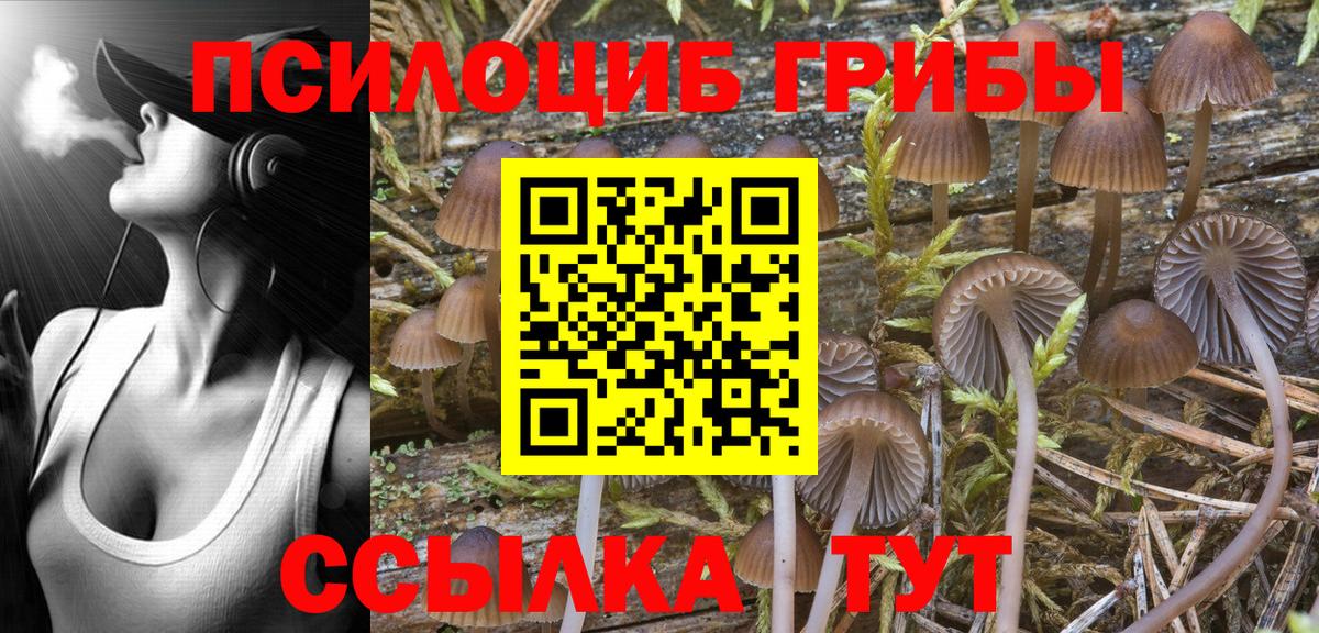 Галлюциногенные грибы прущие грибы Ялта
