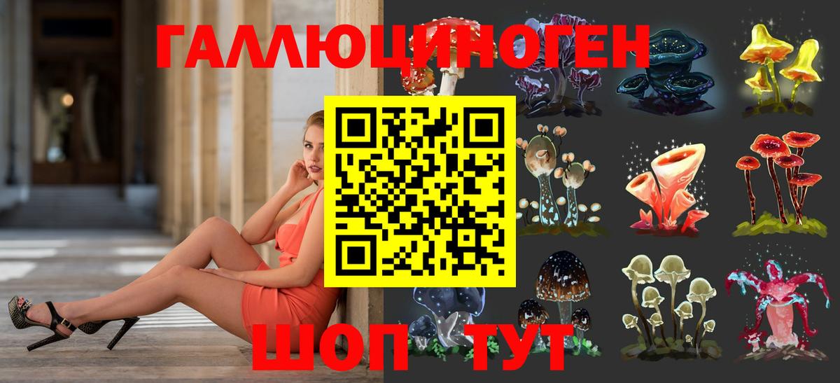 Ялта  Галлюциногенные грибы Psilocybine cubensis  Вход с VPN 